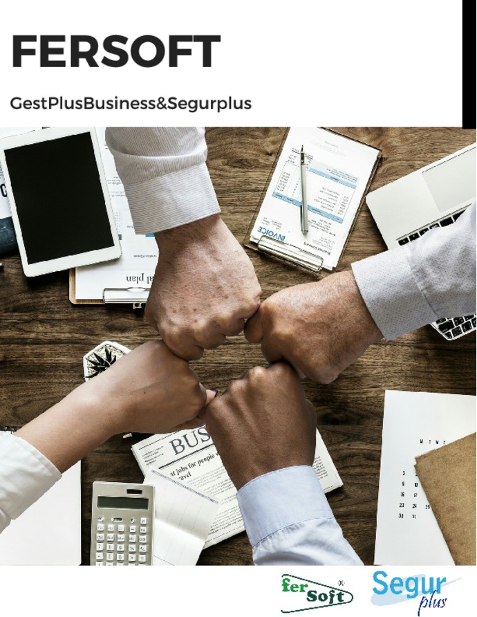 Fersoft - GestPlusBusiness&Segurplus